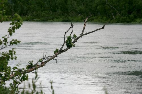 Blik op de Láddjujohka. Deze rivier heeft vanaf Kebnekaise met ons 'meegelopen'. Hier vertrekt ook de boot ....